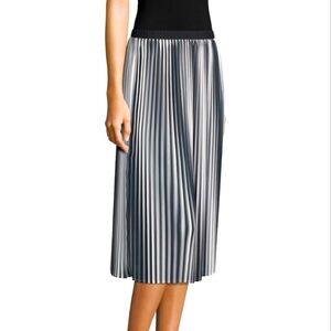 Eileen Fisher Ombré Pleated Skirt